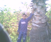 yatt